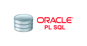 Senior PL/SQL Developer